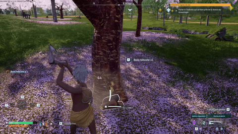 Pink Sakura tree being chopped for Hardwood on Sakurajima